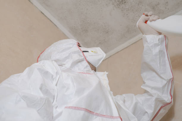 Best Residential Mold Removal  in River Hills, WI