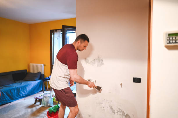 Best Residential Mold Removal  in River Hills, WI